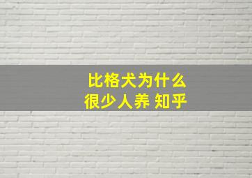 比格犬为什么很少人养 知乎